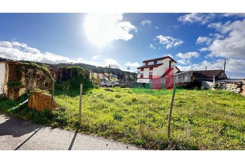 Helårsgrund i Rio Maior, Santarem, Rio Maior - € 55.000 | Ref: 8.24 - foto 28