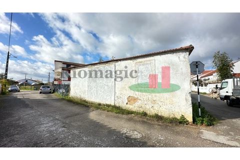 Helårsgrund i Rio Maior, Santarem, Rio Maior - € 55.000 | Ref: 8.24 - foto 29