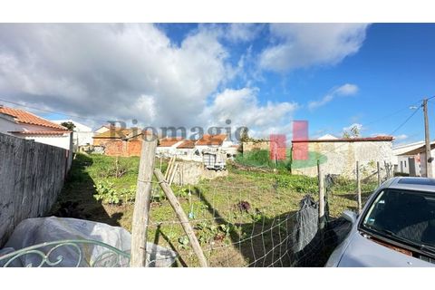Helårsgrund i Rio Maior, Santarem, Rio Maior - € 55.000 | Ref: 8.24 - foto 30