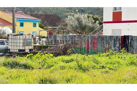Helårsgrund i Rio Maior, Santarem, Rio Maior - € 55.000 | Ref: 8.24 - foto 31
