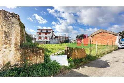 Helårsgrund i Rio Maior, Santarem, Rio Maior - € 55.000 | Ref: 8.24 - foto 33