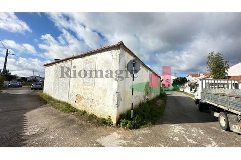 Helårsgrund i Rio Maior, Santarem, Rio Maior - € 55.000 | Ref: 8.24 - foto 36