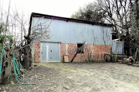 Villa i Ostra, Ancona, Ostra - € 250.000 | Ref: AN022 - foto 4