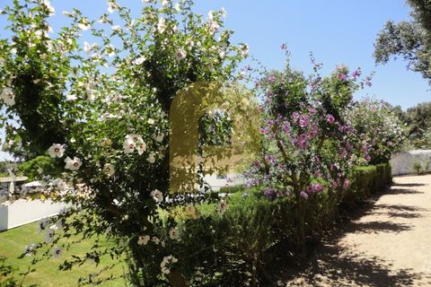 Erhvervsejendom i Elvas, Portalegre, Elvas - € 2.500.000 | Ref: PB2023303 - foto 6