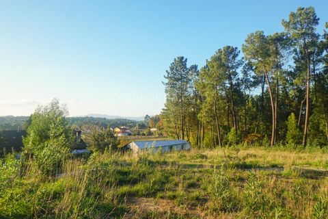 Helårsgrund i Moncao, Viana do Castelo, Moncao - € 75.000 | Ref: 4059 - foto 2