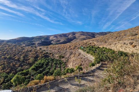 Finca i Salobrena, Granada, Salobrena - € 286.000 | Ref: M528 - foto 18