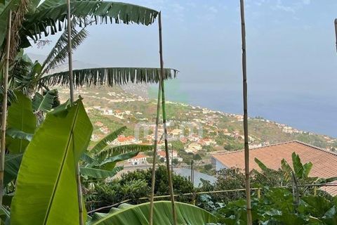 Helårsgrund i Ponta do Sol, Madeira, Ponta do Sol - € 170.000 | Ref: 03321 - foto 3