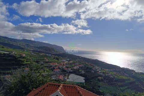 Helårsgrund i Ponta do Sol, Madeira, Ponta do Sol - € 170.000 | Ref: 03321 - foto 4