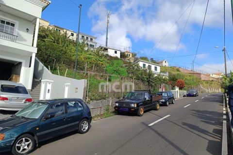 Helårsgrund i Ponta do Sol, Madeira, Ponta do Sol - € 170.000 | Ref: 03321 - foto 6