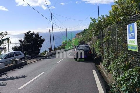 Helårsgrund i Ponta do Sol, Madeira, Ponta do Sol - € 170.000 | Ref: 03321 - foto 8