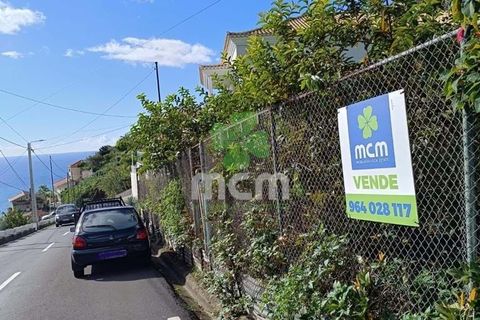 Helårsgrund i Ponta do Sol, Madeira, Ponta do Sol - € 170.000 | Ref: 03321 - foto 9