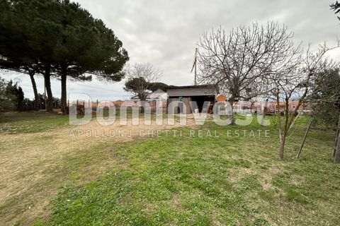 Landejendom i Capalbio, Grosseto, Capalbio - € 450.000 | Ref: V-0013 - foto 2