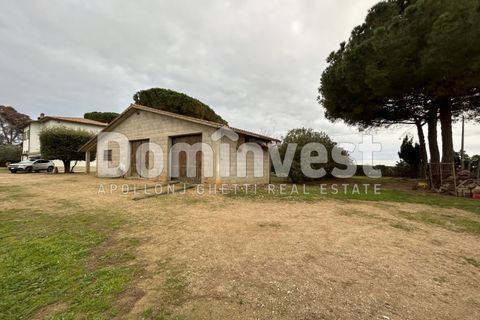 Landejendom i Capalbio, Grosseto, Capalbio - € 450.000 | Ref: V-0013 - foto 5