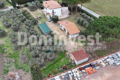 Landejendom i Capalbio, Grosseto, Capalbio - € 450.000 | Ref: V-0013 - foto 8