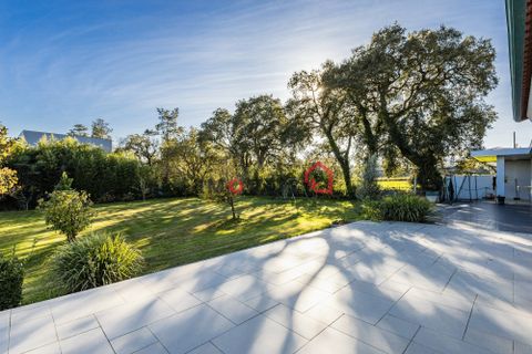 Byhus i Leiria, Leiria, Leiria - € 900.000 | Ref: JO1027 - foto 39