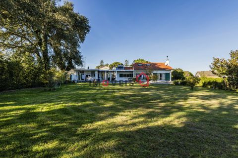 Byhus i Leiria, Leiria, Leiria - € 900.000 | Ref: JO1027 - foto 43