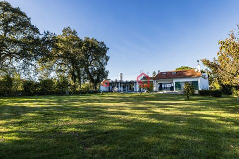 Byhus i Leiria, Leiria, Leiria - € 900.000 | Ref: JO1027 - foto 44