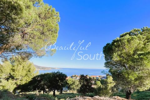 Villa a Banyuls-sur-Mer, Pyrenees-Orientales, Banyuls-sur-Mer - € 890.000 | Ref: SV470 - foto 5