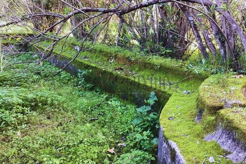 Farm i Setubal, Setubal, Setubal - € 4.200.000 | Ref: 8227 - foto 12