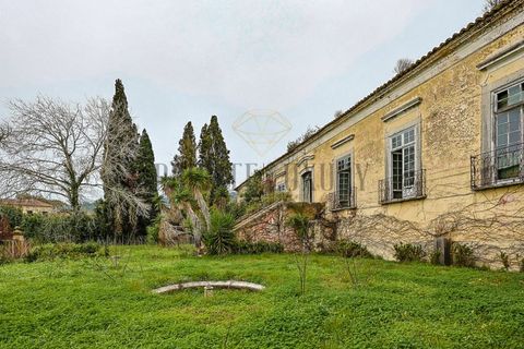 Farm i Setubal, Setubal, Setubal - € 4.200.000 | Ref: 8227 - foto 3