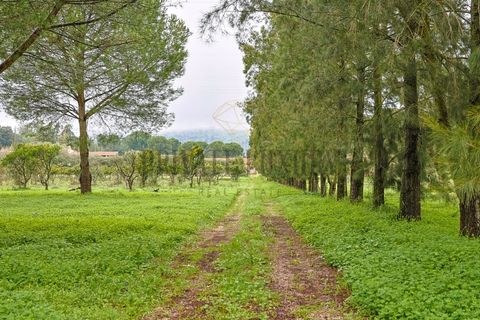 Farm i Setubal, Setubal, Setubal - € 4.200.000 | Ref: 8227 - foto 5