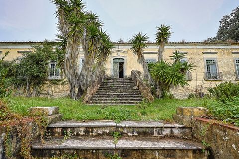 Farm i Setubal, Setubal, Setubal - € 4.200.000 | Ref: 8227 - foto 7