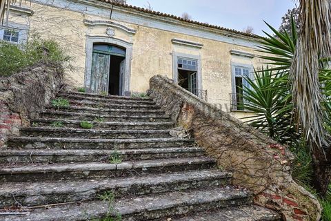 Farm i Setubal, Setubal, Setubal - € 4.200.000 | Ref: 8227 - foto 8