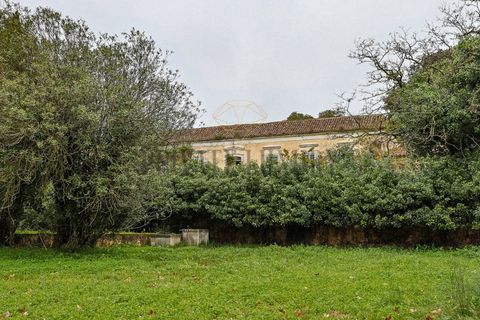 Farm i Setubal, Setubal, Setubal - € 4.200.000 | Ref: 8227 - foto 9
