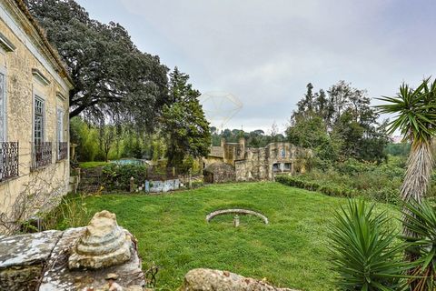 Farm i Setubal, Setubal, Setubal - € 4.200.000 | Ref: 8227 - foto 10