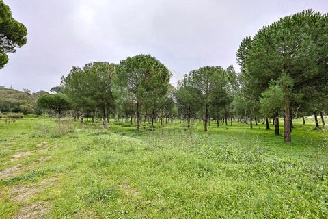 Farm i Setubal, Setubal, Setubal - € 4.200.000 | Ref: 8227 - foto 24