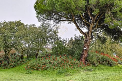 Farm i Setubal, Setubal, Setubal - € 4.200.000 | Ref: 8227 - foto 25