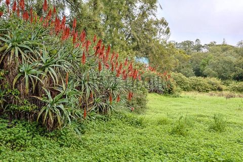 Farm i Setubal, Setubal, Setubal - € 4.200.000 | Ref: 8227 - foto 26