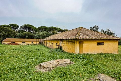 Farm i Setubal, Setubal, Setubal - € 4.200.000 | Ref: 8227 - foto 29