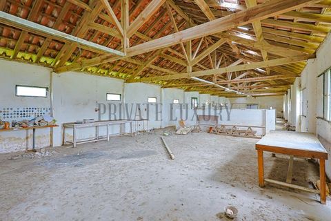 Farm i Setubal, Setubal, Setubal - € 4.200.000 | Ref: 8227 - foto 30