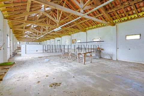 Farm i Setubal, Setubal, Setubal - € 4.200.000 | Ref: 8227 - foto 32
