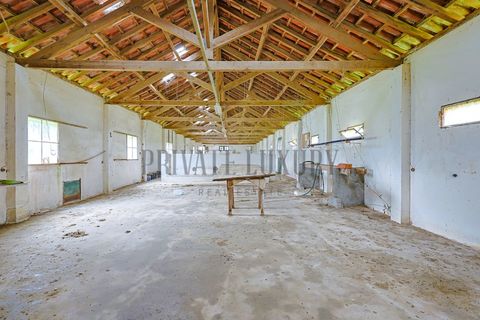 Farm i Setubal, Setubal, Setubal - € 4.200.000 | Ref: 8227 - foto 33