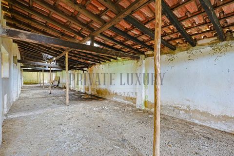 Farm i Setubal, Setubal, Setubal - € 4.200.000 | Ref: 8227 - foto 34