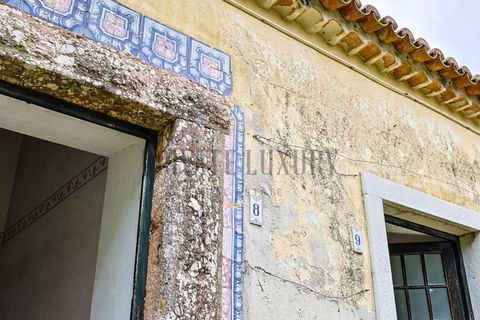 Farm i Setubal, Setubal, Setubal - € 4.200.000 | Ref: 8227 - foto 37