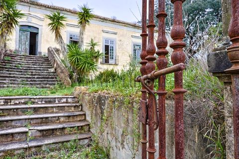 Farm i Setubal, Setubal, Setubal - € 4.200.000 | Ref: 8227 - foto 38