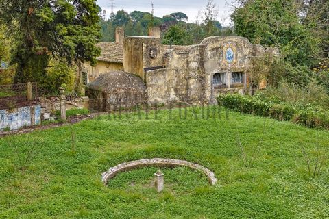 Farm i Setubal, Setubal, Setubal - € 4.200.000 | Ref: 8227 - foto 39