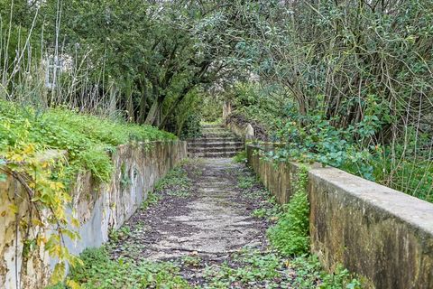 Farm i Setubal, Setubal, Setubal - € 4.200.000 | Ref: 8227 - foto 40