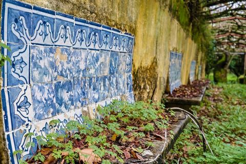 Farm i Setubal, Setubal, Setubal - € 4.200.000 | Ref: 8227 - foto 41