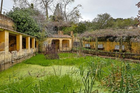 Farm i Setubal, Setubal, Setubal - € 4.200.000 | Ref: 8227 - foto 42