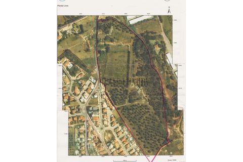 Farm i Setubal, Setubal, Setubal - € 4.200.000 | Ref: 8227 - foto 46