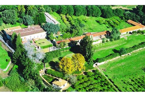 Farm i Setubal, Setubal, Setubal - € 4.200.000 | Ref: 8227 - foto 48