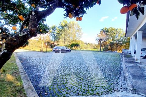 Villa i Rio de Loba, Viseu, Rio de Loba - € 800.000 | Ref: 1180397/23VS - foto 8