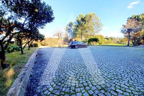 Villa i Rio de Loba, Viseu, Rio de Loba - € 800.000 | Ref: 1180397/23VS - foto 9