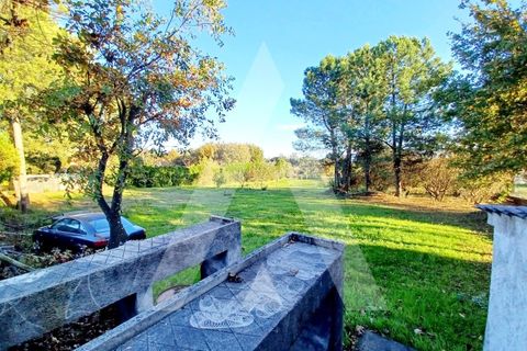 Villa i Rio de Loba, Viseu, Rio de Loba - € 800.000 | Ref: 1180397/23VS - foto 10