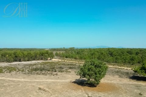 Helårsgrund i Sagres, Faro, Sagres - € 55.500 | Ref: DH230117_4 - foto 3