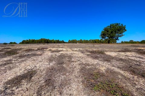 Helårsgrund i Sagres, Faro, Sagres - € 55.500 | Ref: DH230117_4 - foto 5